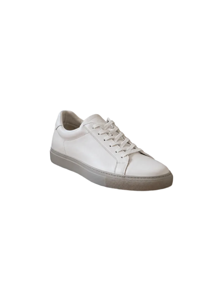 The same sneaker cut out on a transparent background